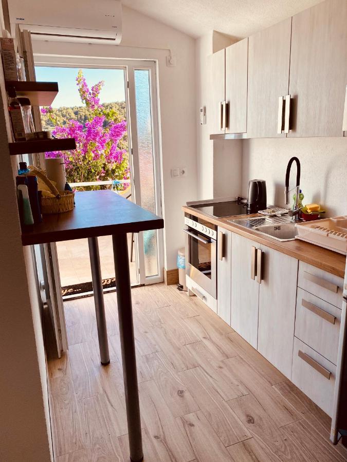 Apartment Elena Donji Okrug  エクステリア 写真