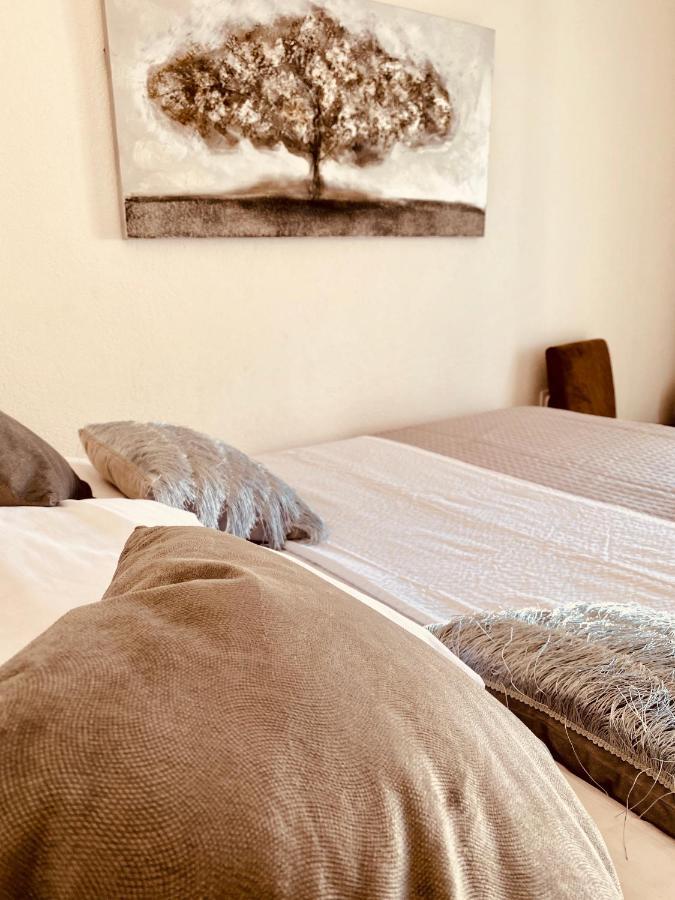 Apartment Elena Donji Okrug  エクステリア 写真