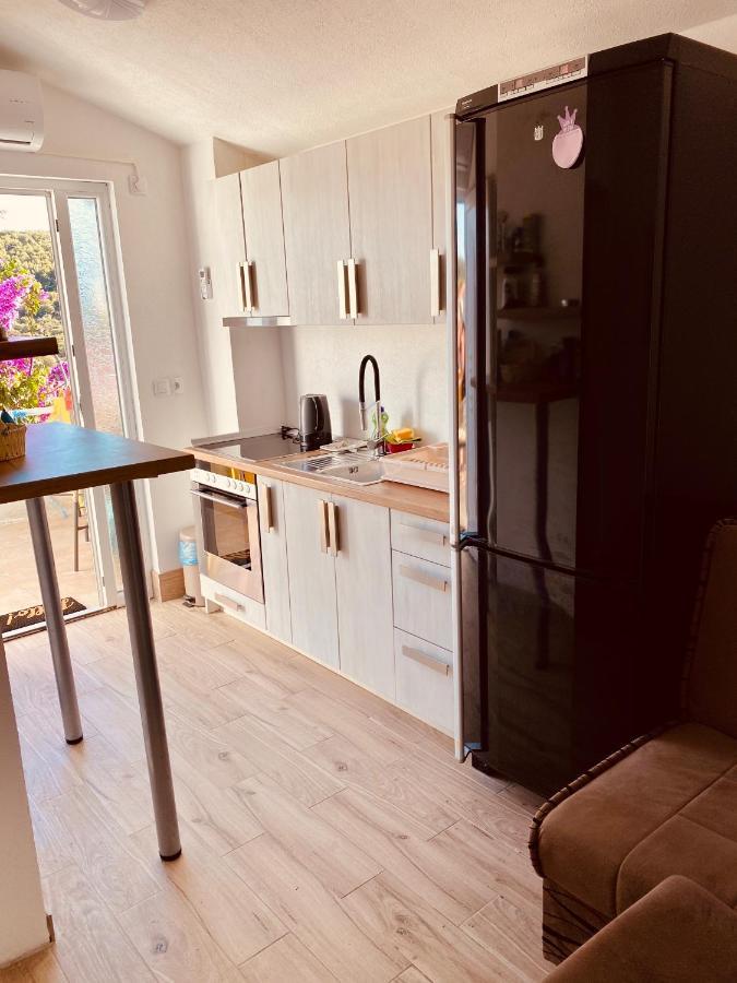 Apartment Elena Donji Okrug  エクステリア 写真